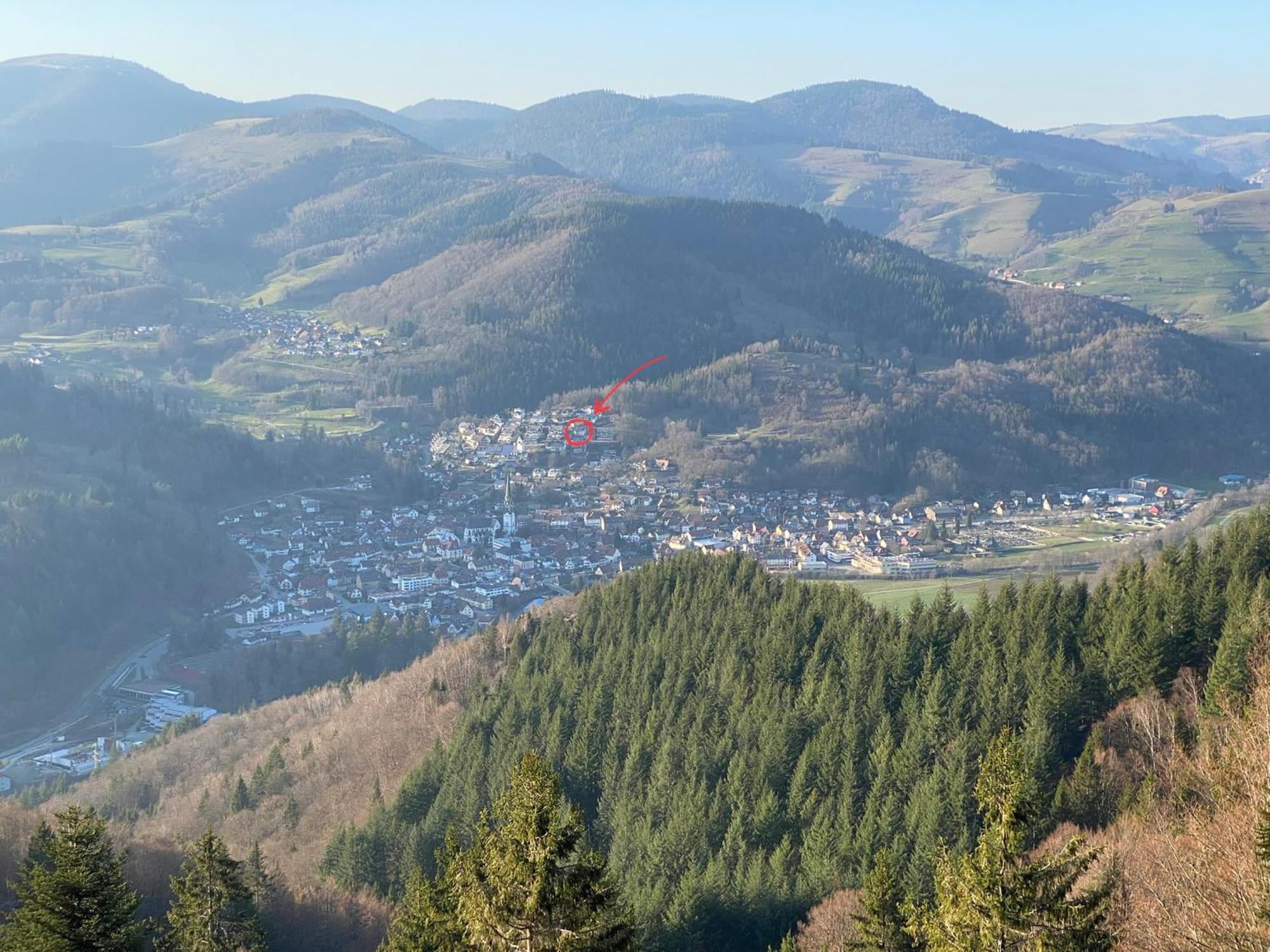 Ferienwohnung Traumblick Schönau im Schwarzwald Dış mekan fotoğraf